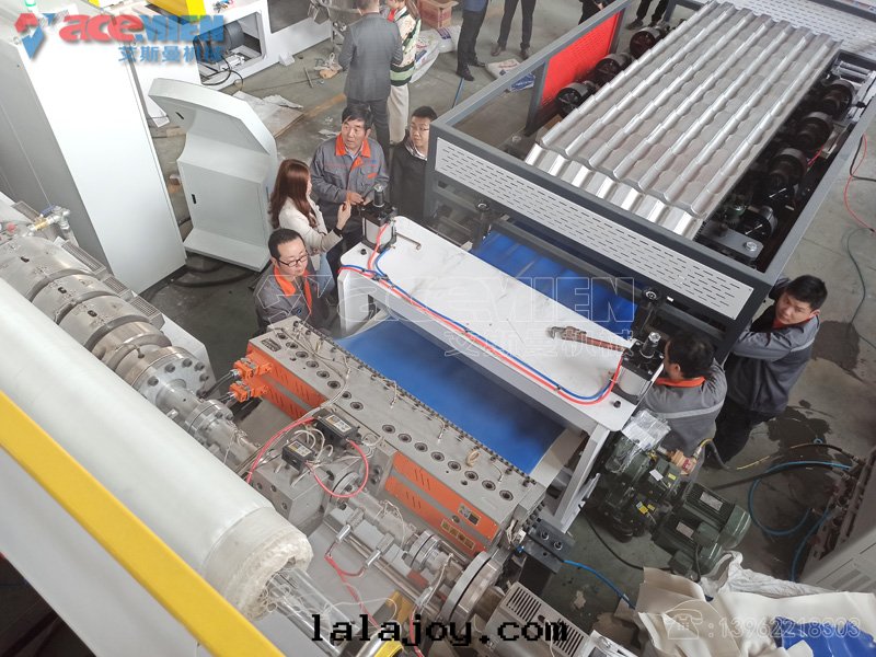 新(xīn)疆沙(shā)依巴克(kè)